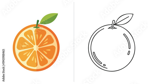 A colorful illustration of a sliced orange next to a simple line drawing of an orange on a white background.