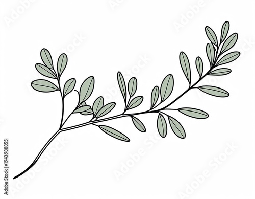 A green branch with lush leaves