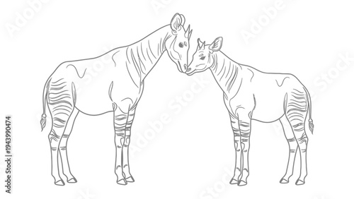 Okapi Kiss in Outline: Okapi mother and baby sharing a tender moment with intertwining necks, captured in simple black and white outline