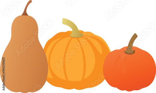 Three Autumn Gourds and Pumpkins on White Background Isolated
