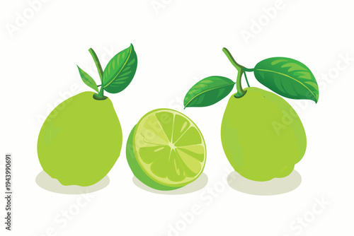 Three Green Limes with Leaves One Halved on White Background