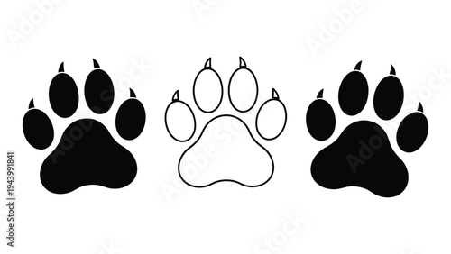 A detailed analysis of canine footprints: a comparative study of three distinctive paw prints