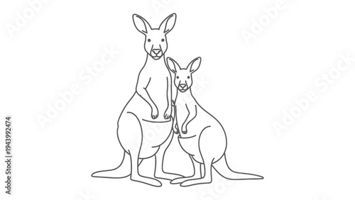 Line Art Kangaroo: A minimalist black and white line drawing of two kangaroos, likely a parent and joey, standing together, showcasing simple, elegant form. 