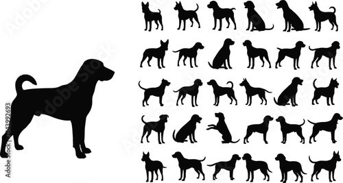 Black dog silhouette vector set, assorted canine breeds and puppy collection, pet animal graphics isolated on white background, bundle,