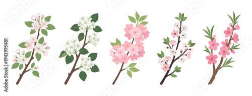 Collection of five spring flowering branches with delicate pink and white blossoms, showcasing various fruit tree flowers like apple and cherry in a flat vector illustration style