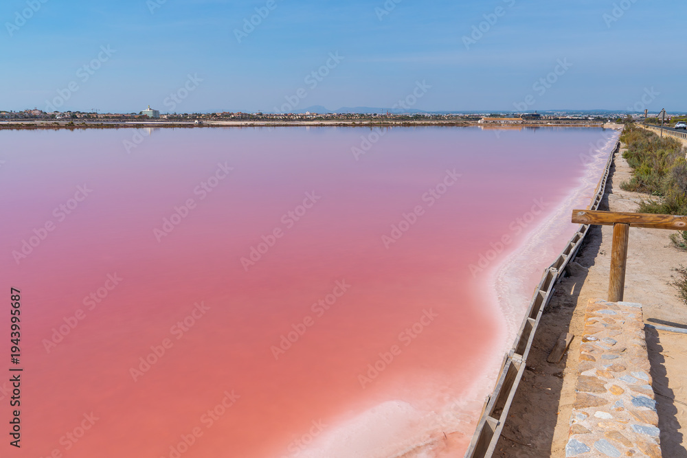 Obraz premium Pink salt lagoon and evaporation ponds in Salinas de San Pedro del Pinatar Natural Park, Murcia, Spain. Mediterranean salt flats landscape with shallow saline water and natural salt production area.