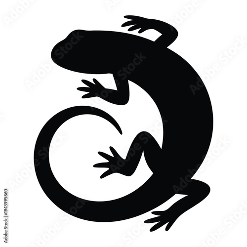 Newt curled up resting Vector, Silhouette, Illustration