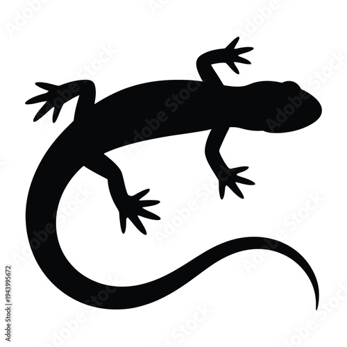 Side view of newt with tail visible Vector, Silhouette, Illustration