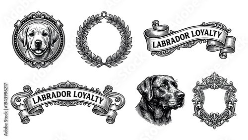 Set of vintage labrador retriever illustrations with dog portraits, ornate frames, a laurel wreath, and decorative banners in a classic black and white hand-drawn engraving style