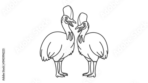 Elegant Cassowary Duo: An artistic portrayal of two cassowaries, these large, flightless birds stand in a moment of elegant companionship.