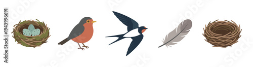 Collection of bird themed illustrations featuring a robin, a flying swallow, nests with speckled blue eggs, and a single feather in a flat, simple graphic style