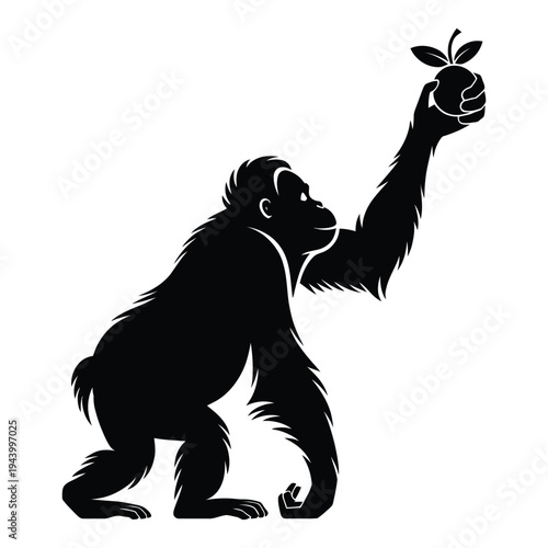 Orangutan reaching for fruit Vector, Silhouette, Illustration