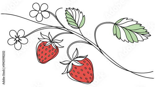 Fresh strawberries and delicate flowers on a vine, celebrating nature's bounty.