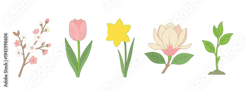 Set of five spring flower illustrations including a cherry blossom branch, pink tulip, yellow daffodil, magnolia, and a green sprout, all in a simple, clean, and colorful line art style