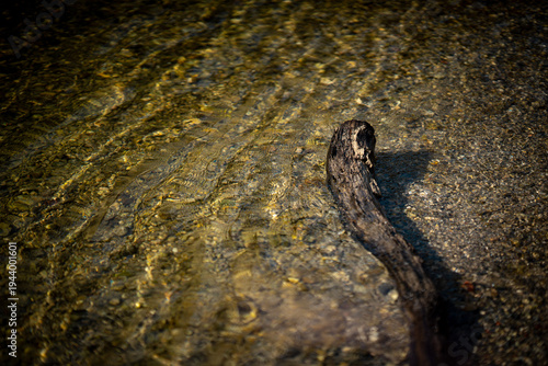Tableau sur toile Pebbled Riverbed Abstract Background – Clear Flowing Water Texture - Amper River