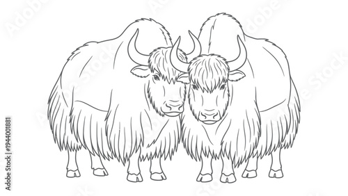 The Yak: Two majestic yaks stand proudly, their shaggy coats and imposing horns a testament to their strength and resilience.
