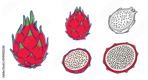 Dragon Fruit Illustration: Whole and Sliced Exotic Pitaya Fruit