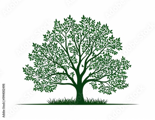 A tree with lush green leaves on a white background
