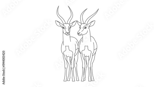 Graceful Antelope Silhouette: A striking outline of two elegant antelope, their horns reaching towards the sky, set against a pristine backdrop, a symbol of freedom.