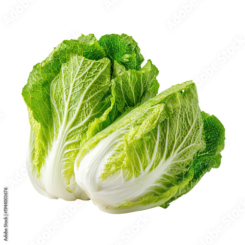 A crisp head of fresh green lettuce on a white background isolated on transparent background