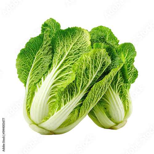 A crisp head of bok choy on a white background isolated on transparent background