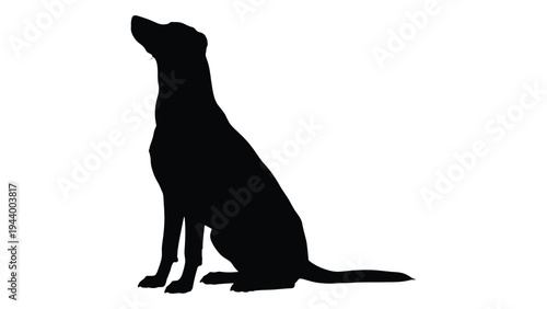 A black silhouette of a dog sitting and looking up, a simple yet evocative image of canine loyalty and companionship.