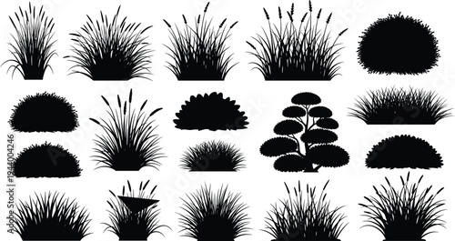 Black grass and bush silhouette vector set, nature plant collection with meadow weeds, reeds and shrubs isolated on white background,
