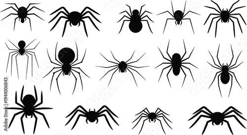 Spider silhouette collection different arachnid species with various leg poses creepy insect set isolated on white background vector illustration