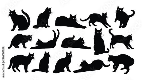 A comprehensive collection of feline silhouettes featuring various cat breeds and poses