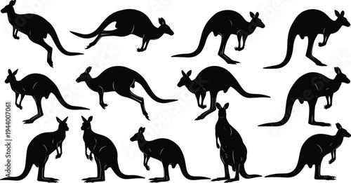 Black Kangaroo Silhouette Vector Set, Jumping Wallaby Illustrations Isolated on White Background, Standing and Leaping Australian Wildlife Poses for Nature Design (21 words)