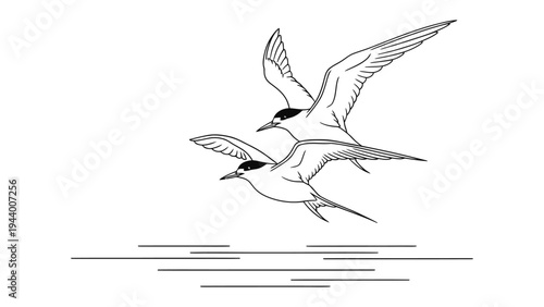 Soaring Seagull Sketch: A delicate line drawing captures two seagulls in graceful flight above tranquil waters. A serene depiction of avian freedom and the simplicity of nature.