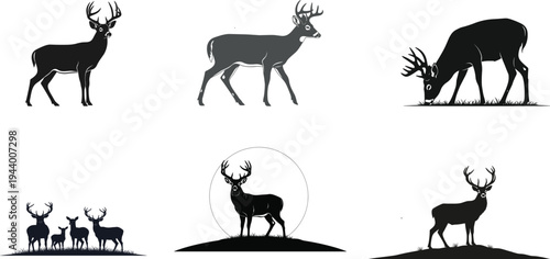 deer, stag, silhouette, wildlife, animal, antlers, forest, nature, wild, mammal, buck, woodland, outdoor, herd, vector, illustration, hunting, landscape, graphic, design