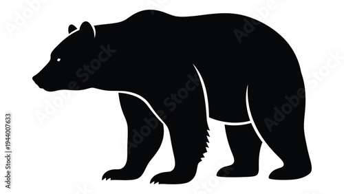 A detailed analysis of a black bear silhouette: physical characteristics and behavioral traits
