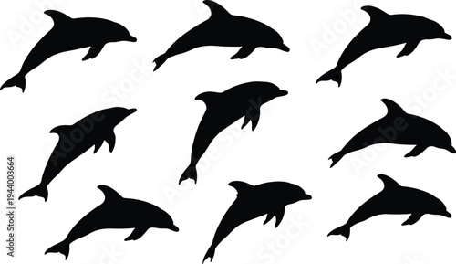 Dolphin silhouette set with jumping and swimming marine mammals ocean wildlife collection isolated on white background vector illustration design