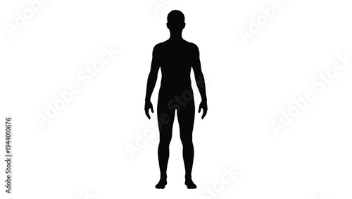 A detailed analysis of a human figure in a standing position depicted in black silhouette against a white background