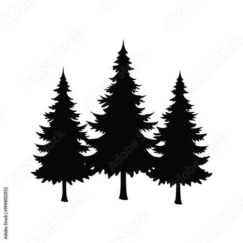 pine tree silhouette vector illustration, black and white trees silhouette vector illustration with three tall pine trees