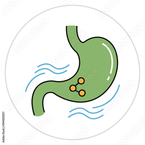 Illustration of a healthy human stomach with digestive enzymes.