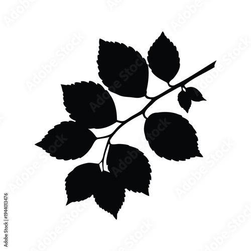 beech branch silhouette vector illustration, Silhouette of leaf branch with detailed veins and edges, vector illustration design