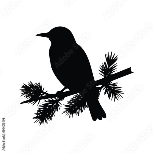bird sitting on pine branch silhouette vector illustration, Silhouette of bird sitting on pine branch with needles vector illustration