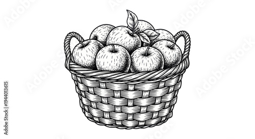 Hand-drawn basket of apples illustration, sketch style, black and white, fresh fruit harvest