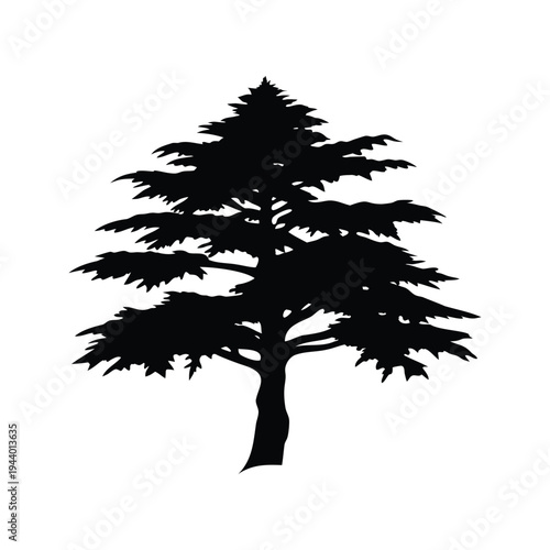 cedar branch silhouette vector illustration, Silhouette of a tree with branches and leaves, elegant vector illustration design