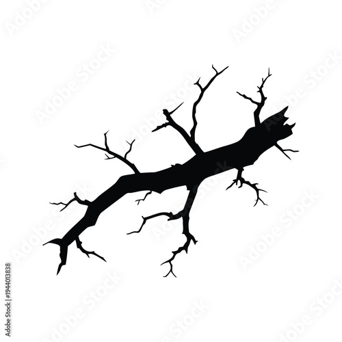 dead branch with cracks silhouette vector illustration, Silhouette of a tree branch with intricate details in black and white vector illustration