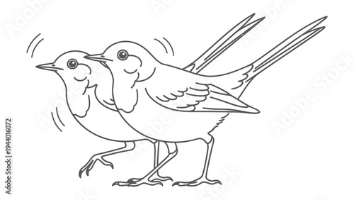 Animated Bird Duo: A lively artistic rendering features two birds in motion, their poses conveying a sense of energy and vivacity. They stride purposefully.