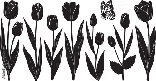 Black and white tulips with butterfly illustration art design