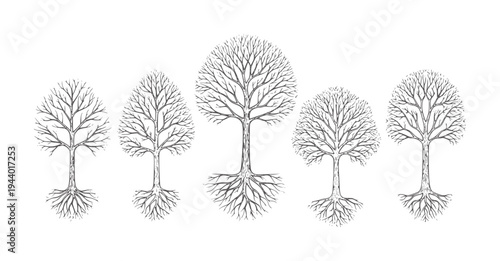 Five bare black and white stylized trees with intricate roots and branches