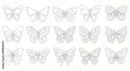 Collection of Butterfly Line Art Illustrations, Delicate Insect Vector Graphics