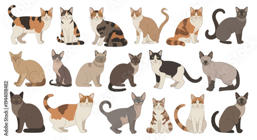 Collection of Diverse Cat Breeds and Colors