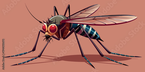 Macro close up of a mosquito sucking blood isolated on white background showing detailed wings eyes and hairy insect body.