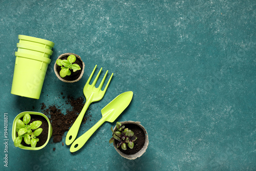 Peat pots with basil and gardening tools on color background