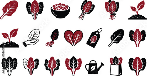 Collection of stylized icons representing fresh leafy greens sprouts and gardening tools on a white background